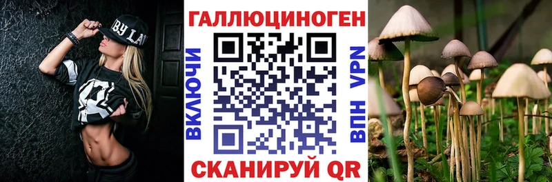Галлюциногенные грибы Magic Shrooms  Щигры 